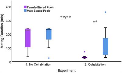 Plasticity of Mating Duration in Response to Slightly Biased Operational <mark class="highlighted">Sex Ratios</mark> in the Water Strider (Aquarius remigis): The Effect of Cohabitation Under Standard Laboratory Conditions